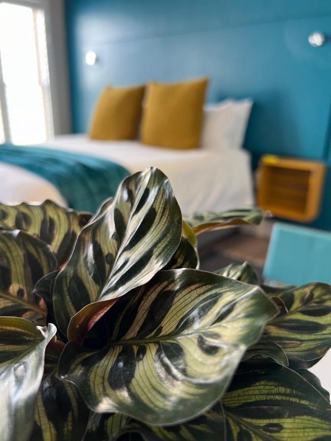 Hermanus Waterfront Apartment No 17 Bagian luar foto